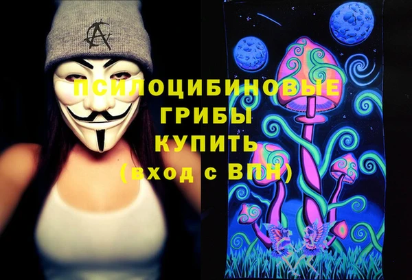 дмт Костерёво