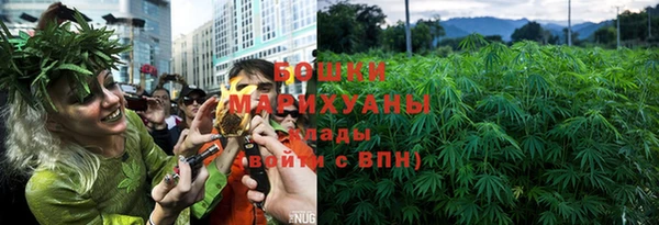 дмт Костерёво