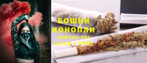 дмт Костерёво