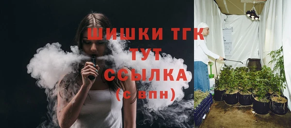 дмт Костерёво