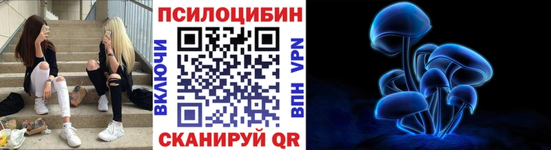 OMG маркетплейс  Красноармейск  Галлюциногенные грибы мицелий 