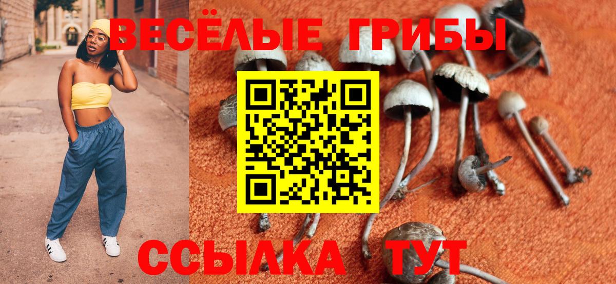Галлюциногенные грибы Psilocybine cubensis Красноармейск