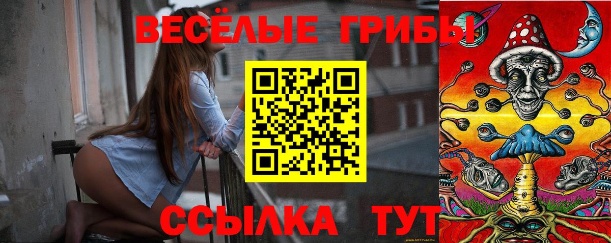Красноармейск  купить наркотики сайты  Вход с VPN  Псилоцибиновые грибы ЛСД 
